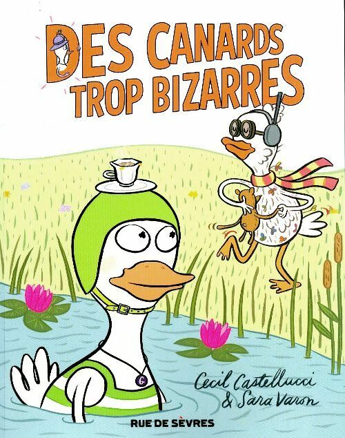 Des canards trop bizarres - Cecil Castellucci - Livre d\'occasion