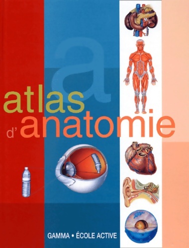 3330088 - Atlas d'anatomie - Collectif - Photo 1/1