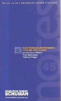 Elections européennes : l'heure des choix - Thierry Chopin