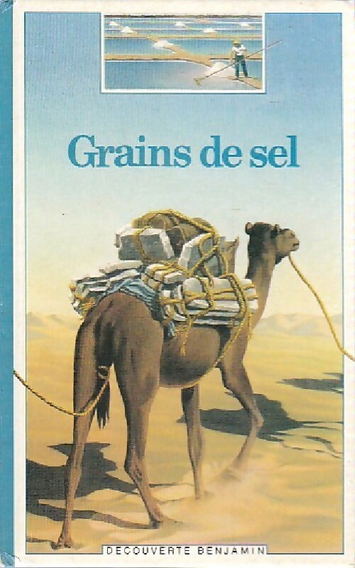 Grains de sel - Dominique Joly