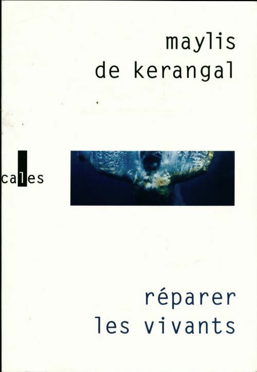 Réparer les vivants - Maylis De Kerangal