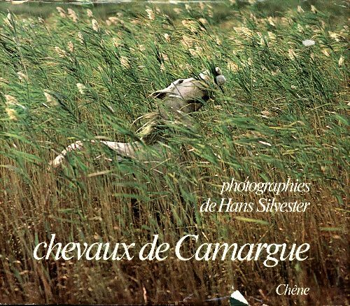 Chevaux de Camargue - Hans Silvester