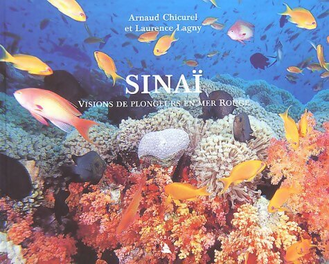 Sinaï. Visions de plongeurs en mer rouge - Arnaud Chicurel