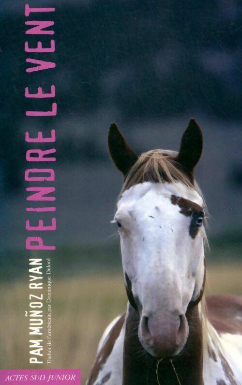 Peindre le vent - Ryan Pam Munoz