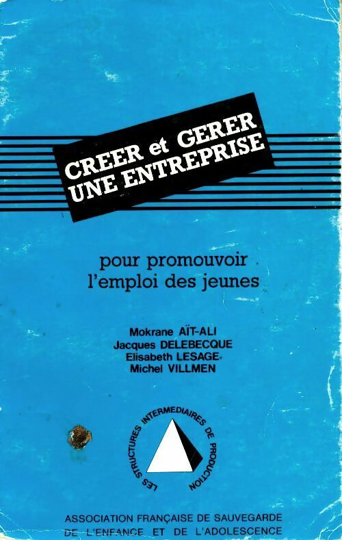 Créer et gérer une entreprise pour promouvoir l'emploi des jeunes - Collectif