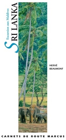 Sri lanka : Excursion aux maldives - Hervé Beaumont