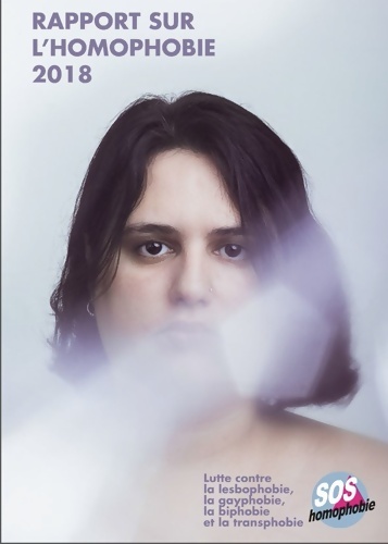 Rapport sur l'homophobie 2018 - Collectif