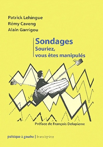 Sondages. Souriez, vous êtes manipulés - Patrick Lehingue