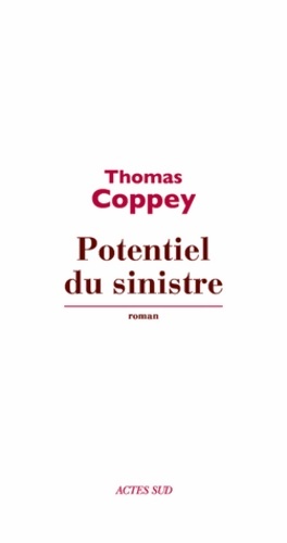 Potentiel du sinistre - Thomas Coppey