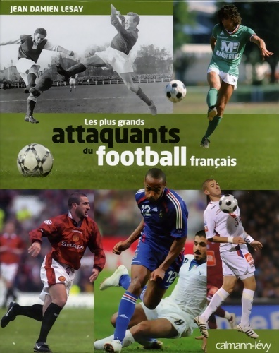 Les plus grands attaquants du football français - Jean-Damien Lesay