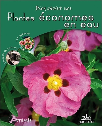 Bien choisir ses plantes économes en eau - HORTICOLOR