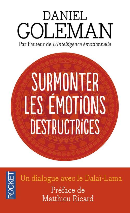 Surmonter les émotions destructrices. Un dialogue avec le Dalaï-Lama - Daniel Goleman