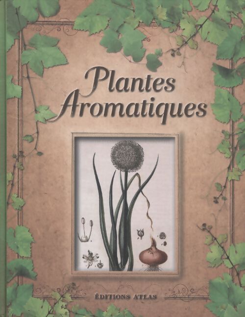 Plantes aromatiques - Nathalie Bucsek