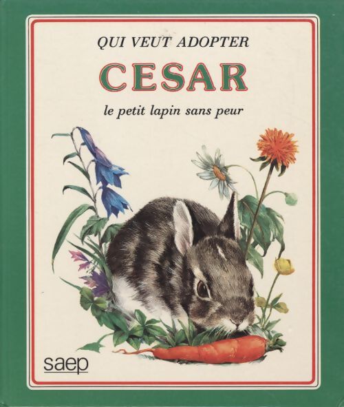 Qui veut adopter cesar le petit lapin sans peur - Klethi